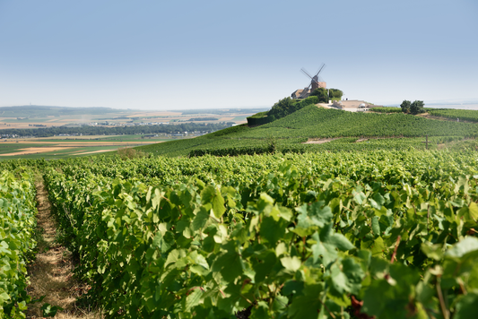 Vigneron du mois